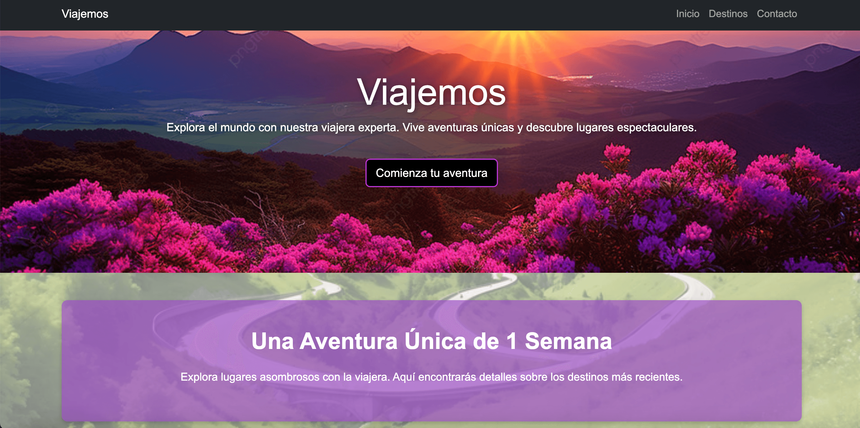Travel Website