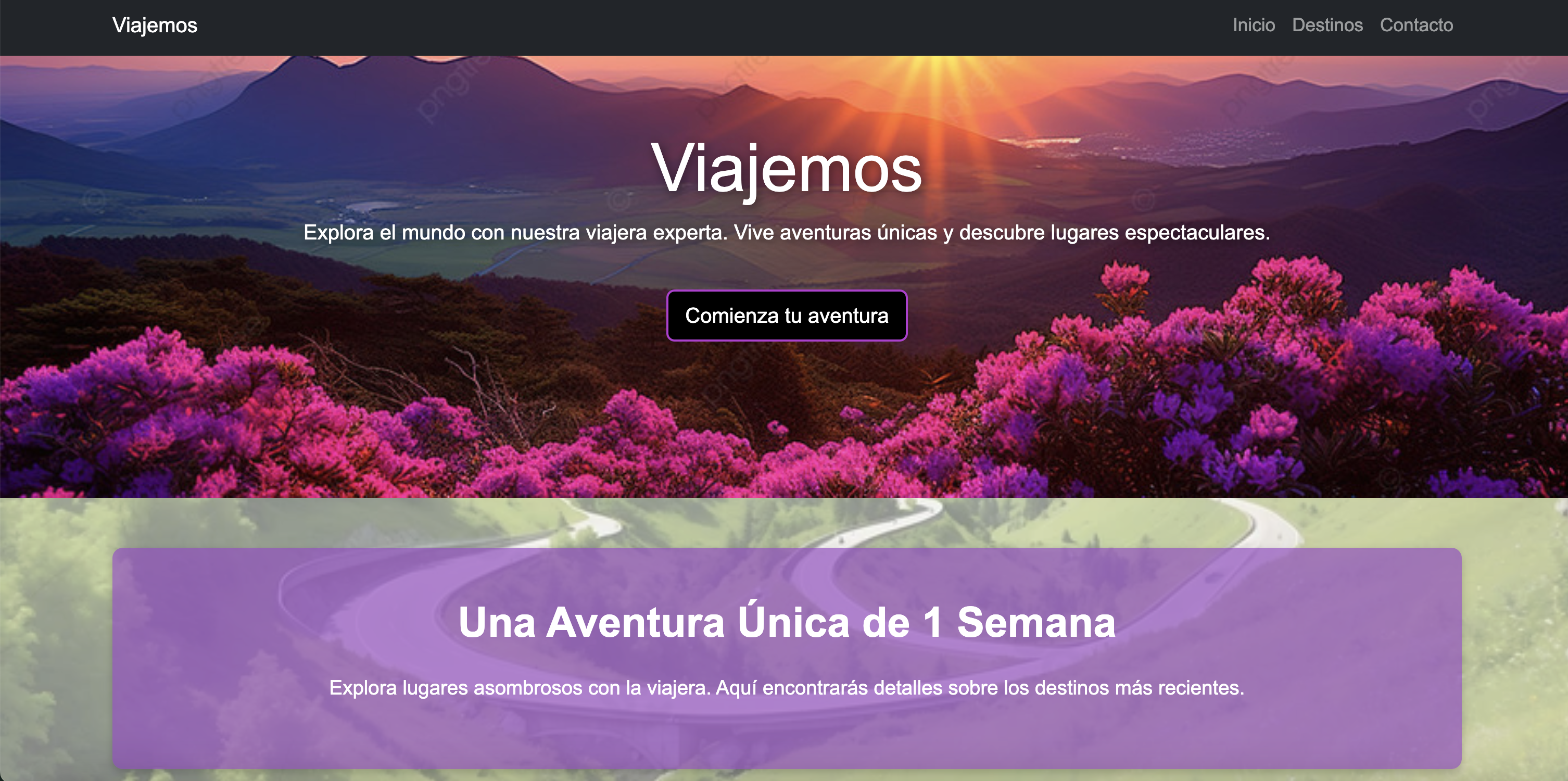 Travel Website